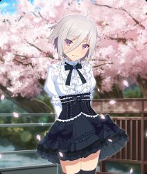 hase mikoto from gems company