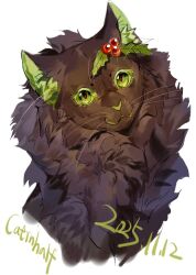 hollyleaf from power of three