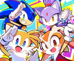 blaze the cat from sonic (series)