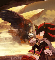 shadow the hedgehog from sonic (series)