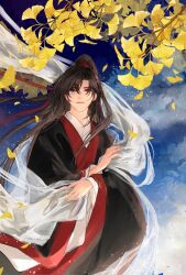 wei wuxian from modao zushi
