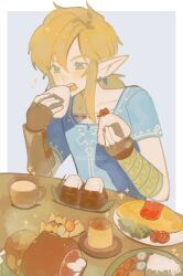 link from the legend of zelda