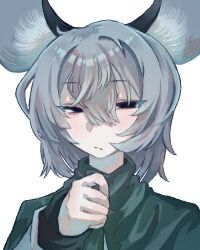 nazrin from cookie (touhou)