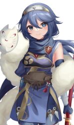 lucina (fire emblem) from fire emblem