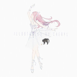 nikki (nikki) from nikki (series)