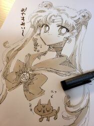 luna (sailor moon) from bishoujo senshi sailor moon