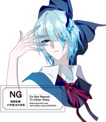 cirno from touhou by nubezon