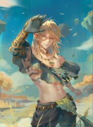 link from the legend of zelda