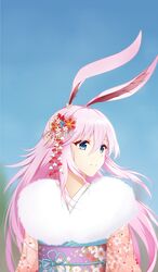yae sakura from honkai (series)