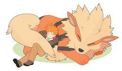 arcanine from pokemon