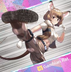 kemono friends fan art