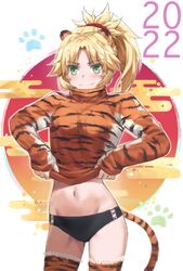 mordred (fate) from fate/apocrypha by tonee
