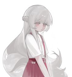 punishing: gray raven fan art