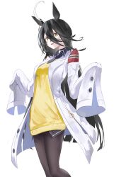 agnes tachyon (tach-nology) (umamusume) from umamusume
