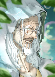 silvers rayleigh from one piece by musasabiop