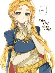 princess zelda from the legend of zelda by didi en ilu