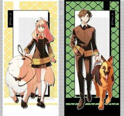 anya (spy x family) from spy x family