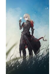 punishing: gray raven fan art