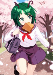 wriggle nightbug from touhou