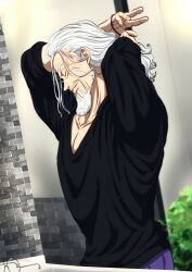 silvers rayleigh from one piece by musasabiop