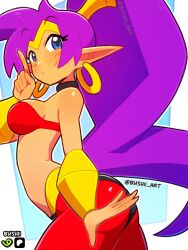 shantae fan art