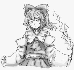 hakurei reimu from imperishable night