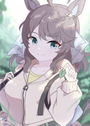 daring tact (umamusume) from umamusume