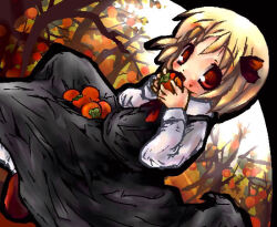 rumia from touhou