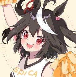 kitasan black (umamusume) from umamusume