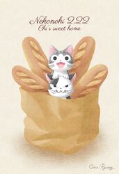 chi (character) from chi's sweet home