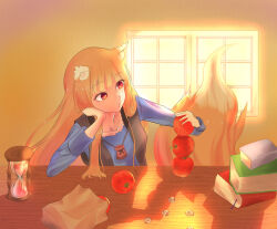 holo from spice and wolf