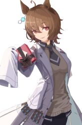 agnes tachyon (tach-nology) (umamusume) from umamusume