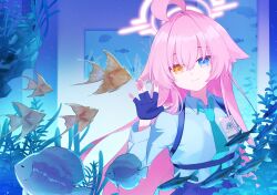 hoshino (blue archive) from blue archive