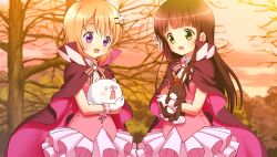 anko (gochiusa) from gochuumon wa usagi desu ka?