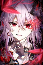 evernight (honkai: star rail) from honkai: star rail