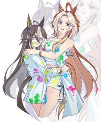 dream journey (umamusume) from umamusume