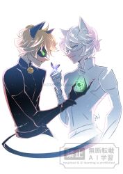 adrien agreste from miraculous ladybug
