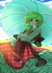 kazami yuuka from touhou