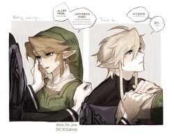 link from the legend of zelda by isa-415810