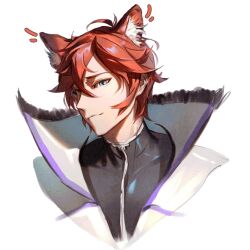 reinhard van astrea from re:zero kara hajimeru isekai seikatsu