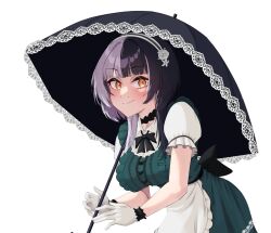 shiori novella from hololive