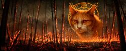 warrior cats fan art