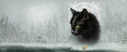 warrior cats fan art