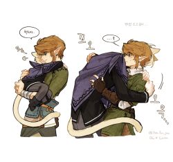 link from the legend of zelda by isa-415810