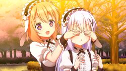 hoto cocoa from gochuumon wa usagi desu ka?