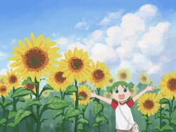 koiwai yotsuba from yotsubato!