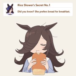 rice shower (umamusume) from umamusume