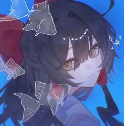 hakurei reimu from touhou