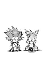 sonic the hedgehog from dragon ball