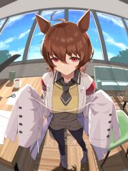agnes tachyon (tach-nology) (umamusume) from umamusume